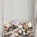 Small Shadow Box Seashell Collection White 8x10 Top Loading Display Case Frame with Slot, Movie Travel Sporting Events Concert Ticket Stubs Drink Beer Caps Memory Keepsake Box