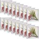 Ripeng 16 Pack Shadow Box Frame Display Case Picture Frame for Wedding Bouquet, Teacher Crafts, Photo, Ticket, Valentine, Easter, Medal, DIY Wall or Tabletop Gift(8 x 8 Inch, White)