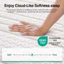 Novilla Queen Mattress, 12 Inch Queen Size Mattresses in a Box with Smarts Pocket Coil for Pressure Relief, Medium Plush Foam and Spring Hybrid Colchones with CertiPUR-US Certified