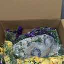 Artificial Outdoor Flowers with Hanging Baskets,UV Resistant Faux Petunias Flowers with Hanging Planter for Front Door Porch Spring Outside Decor (1 White,Yellow,Purple,RedViolet)1 Set