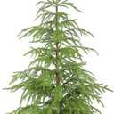 WBHome 3ft Tabletop Artificial Norfolk Pine Tree - 36" Faux Tree Potted Green for Front Porch Christmas Indoor Outdoor Decor