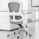 Ergonomic Office Chair: 400LBS Office Computer Desk Chair with High Back Mesh and Adjustable Lumbar Support Rolling Work Swivel Task Chairs with Wheel 3D Armrests, Ergo Gaming Chair (Grey)