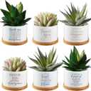 Unittype 6 Pcs Administrative Professional Day Gift Ceramic Succulent Mini Planter with Tray Office Desk Decor Employee Appreciation Gift for Social Worker Volunteer Teacher Nurse, Plants Not Included