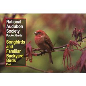 National Audubon Society Pocket Guide to Songbirds and Familiar Backyard Birds: Eastern Region: East