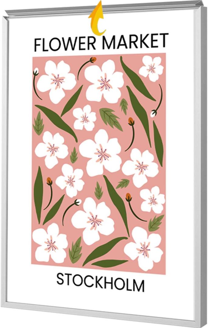 24x36 Poster Frames, Plexiglass, Silver Aluminum Snap Frame, Front-loading Frame for Wall (1PCS)