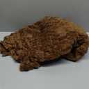 Heated Blanket Flannel Throw Blanket, 50"*60" Electric Heating Blanket with ETL & FCC & 12 Heating Levels & Auto Shut OffMachine Washable (Brown)