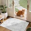 2x3 Vintage Washable Area Rugs for Entryway Soft Non-Slip Bath Mat Boho Medallion Distressed Retro Accent Carpet Floral Low Pile Indoor Throw Rug for Kitchen Laundry Living Room Bedroom, Gray (Grey)