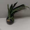 Bird Fiy Artificial Snake Plant 22.5" Faux Agave Fake Sansevieria Artificial Potted Plants for Indoor and Outdoor Home Office Dcor (Green)