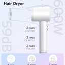 Hair Dryer, Ionic High-Speed Blow Dryer for Fast Drying with Brushless Motor, Portable Professional Hair Dryers with Magnetic Concentrator, Quiet Compact Hairdryer for Women & Men, Travel/Home/Salon