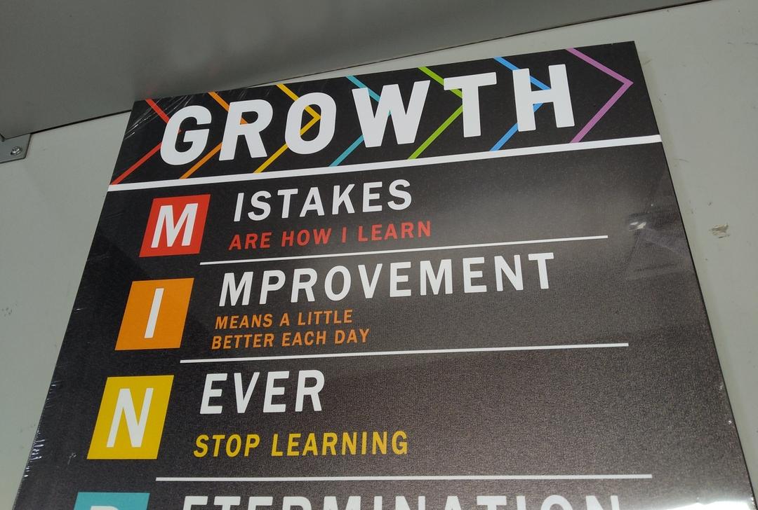 Motivational Poster Wall Art Inspirational Mindset Growth Entrepreneur Quotes Print on Canvas Painting Artwork for Living Room Classroom Picture Wall Decoration Stretched and Framed 16x24inch(40x60cm.
