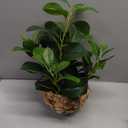 15" Artificial Broad Leaf Potted Plant in Handwoven Seagrass Basket Planter Small Tabletop Fake Plant for Indoor Home Office Shelf Desk Decor