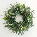 Jobflower 24 Inch Eucalyptus Wreath for Front Door, Artificial Greenery Wreath with Olive Fruit & Berries, Lush All Seasons Farmhouse Wall Decor for Spring Summer Year Round Outside Inside