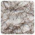 Hair Net Tiny Mesh Bouffant/Large Size, Light Brown,1 Net Per Pack [Pack of 12]