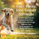 Burt's Bees for Pets Deodorizing Dog Shampoo, Lemongrass & Sage, 16 Oz