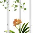 YIZAIJIA Plant Stand Indoor Corner Tall 2 Tier Metal Modern Flower Storage Plant Shelf Holder for Living Room Balcony Garden,White (2 Tier-White Round)