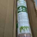 Plant Bamboo Post,4Feet,Bamboo Garden Stakes,65PcsBamboo Stakes,for Tomato,Beans,Vegetable and Flowers, Potted Plants,Indoor and Outdoor Climbing Plants