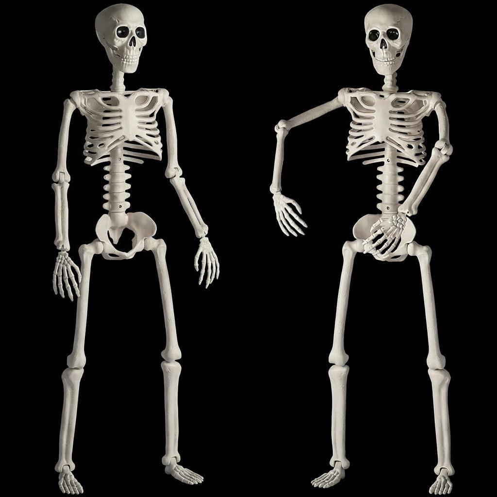 HBSTK 2 Pack 36 Inches Halloween Skeleton Full Body Posable Movable Jonints for Halloween Decoration Dcor, 2 Pack 40Inch Skeleton