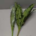 FOREST PRINCE 35" Ferns Artificial Bush Plants Large, 2 Artificial Boston Ferns with 39 Fronds for Outdoors Home Decor