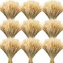 Geosar 400 Stems Dried Wheat Stalks for Decor Natural Wheat Grass Sheaves Bundle Farmhouse Artificial Flowers Arrangement for DIY Wedding Table Home Centerpieces Party Decorative (16.2 Inch)