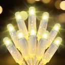 Christmas Lights 34FT Outdoor Waterproof Decoration String Lights 100 Count Warm White for Wedding Outdoor Indoor Xmas Party Christmas Tree Bushes (1, 34ft)