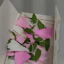 EASY JOY Crepe Paper Flowers Banner White Gradient Pink Flower Banners Spring Hanging Paper Floral Leaves Garland for Spring Birthday Wedding Home Decorations