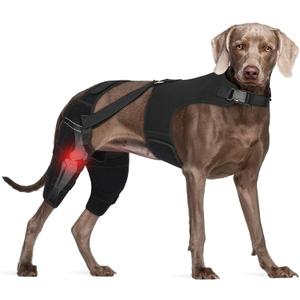 Dog Knee Brace for Torn ACL Hind Legs with Vest, Adjustable Dog Leg Brace with 4 Stabilizers, Hip Support to Reduce Pain, CCL Tear Recovery & Arthritis Ligament Injuries & Luxating Patella (XX-Large)