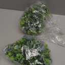 Sggvecsy Artificial Eucalyptus Garland 2 Pack Fake Eucalyptus Greenery Garland Faux Hanging Plants Artificial Vines, 6 Feet/Strand for Wedding Backdrop Arch Wall Table Party Outdoor Festival Decor