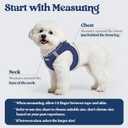 rabbitgoo Dog Harness Small Sized and Leash Set, Step in Soft Light Puppy Vest, Breathable Mesh Pet Harness, Reflective for Safe Outdoor Walking, Navy Blue S