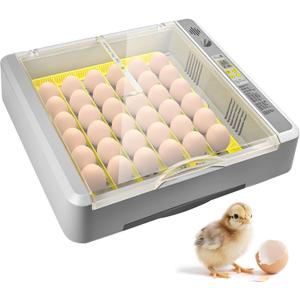 36 Eggs Incubator for Hatching Chicks with Automatic Turner Temperature & Humidity Control, Multifunctional Ultra-Clear Panoramic View with Hatch Days & Egg Candler for Chicken, Duck, Goose, Bird
