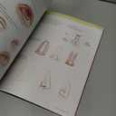 Basics of Drawing: The Ultimate Guide for Beginners