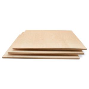 Baltic Birch Plywood 24 x 24 x 1/2 Inch - 12 mm Craft Wood, Pack of 2 B/BB Grade, Stronger Than Basswood or Balsa, Perfect for Laser, CNC Cutting, Wood Shelves by Woodpeckers