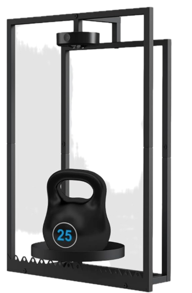 Shineled Wall Plant Holder, Indoor Plants Holders with Remote Grow Lights, Plant Shelves Hanging Planters, Framed Plants Holder for Living Room, 1 Pack