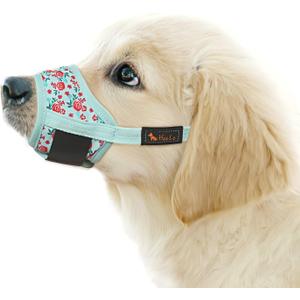 HEELE Dog Muzzle,Soft Nylon Muzzle Anti Biting Barking Chewing,Air Mesh Breathable Drinkable Adjustable Loop Pets Muzzle for Small Medium Large Dogs 4 Colors 4 Sizes (P-Cyan Flower, M)