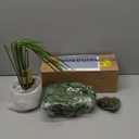 Der Rose 28" Fake Plants Large Artificial Monstera Faux Potted Plants Indoor Tall Tree for Living Room Decor (White)