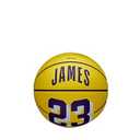 WILSON NBA Player Icon Mini Basketball - Lebron James, Mini Size