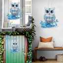 Diymood DIY Hanging Diamond Art Kits for Adults Owl, Diamond Painting Kit Pendant Special Shaped Double Sided Acrylic Sun Catcher Board Wreath Pendants Canvas Window Wall Decor 8 x 8 Inch (Colorful-1)