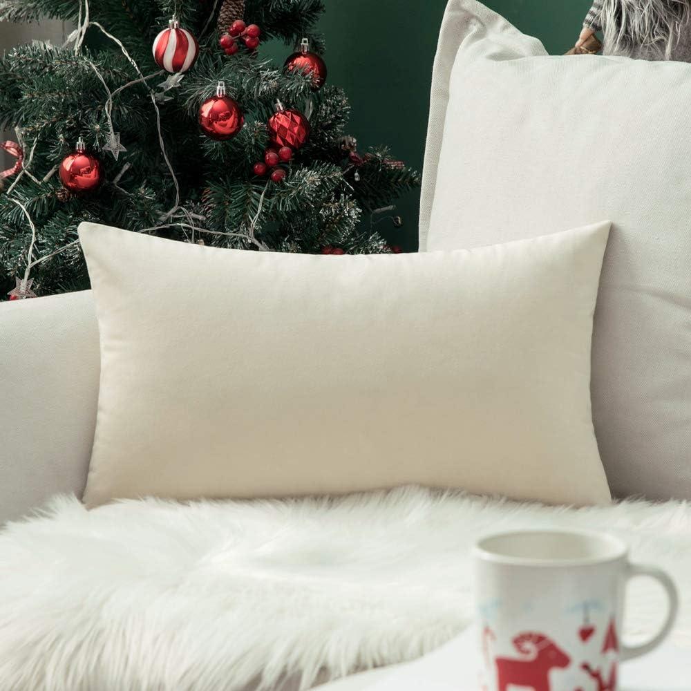 MIULEE Velvet Pillow Cover Soft Luxury Decorative Throw Pillow Cover Single Rectangle Cushion Case for Couch Sofa Bedroom Car Decor,14x20 Inch Cream White