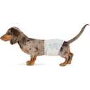 Basics Male Dog Diapers, 50 Count, Medium, Ultra Absorbent Disposable Wrap with Secure Fit, Leakproof and Comfortable