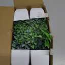 Der Rose 4 Pack Fake Plants Mini Artificial Greenery Potted Plants for Home Decor Indoor Office Table Room Farmhouse Bathroom Decor