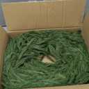 6 FT Christmas Norfolk Pine Garland, Realistic Greenery Artificial Garland for Indoor Outdoor Door Porch Fireplace Wall Staircase Holiday Christmas Decor