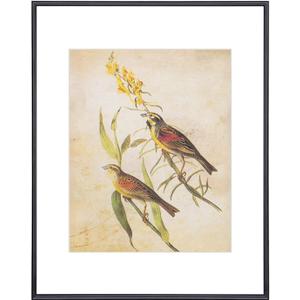 11x14 Picture Frame, Black Modern Aluminum Metal Photo Frame with HD Glass, Fits 8x10 with Mat or 11 x 14 without Mat, Vertical and Horizontal Wall Mounting, 1 Pack