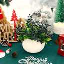 Felice Arts 6 Pack Artificial Black Berry Stems Fake Holly Berries Halloween Picks for Xmas Tree Ornaments DIY Wreath Vase Holiday Home Decor