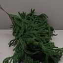 Treasborn 2Pcs Norfolk Pine Garlands 6FT Realistic Xmas Garland Christmas Decorations Indoor Outdoor, Artificial Green Garland Winter Decor for Mantle, Fireplace, Table Soft Real Touch