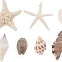 NUOBESTY Magnet Fridge 7PCS Refrigerator Beach Magnets 3D Seashell Conch Shape Sticker Nautical Refrigerator Whiteboard Locker for Home Kitchen Random Style Fridge Decor