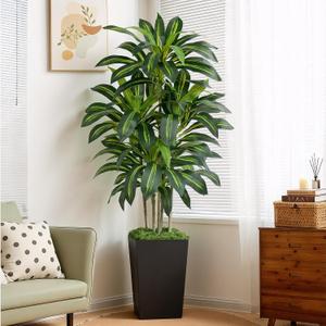 6FT Artificial Dracaena Tree - High-Density Foliage Fake Plant with Black Tall Planter - Faux Yucca Floor Plant for Home Office Decor Indoor