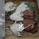 Suncalla 24 Pcs Velvet Christmas Ornaments 12 5.5'' Velvet Magnolia Flower for Christmas Tree 12 6.3'' Spheres Ball Pick Stem Artificial Magnolia Flower for Xmas Tree Decor(Beige, Brown, Green)