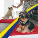 Muddy Mat | Super Absorbent Door Mat Indoor, Microfiber Quick Dry Chenille Entryway Rug, Non-Slip Front Door Mat, Indoor Mats for Entryway, Machine Washable Pet Rug, Red 30"x19"