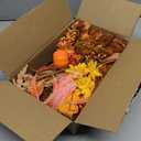 12PCS Fall Dried Flowers Bouquet for Vase Various Dried Wildflowers with Stems Mini Handmade Wildflowers Natural Real Flowers Bulk Flowers for Crafts DIY Wedding Decor (Fall,Burnt Orange)