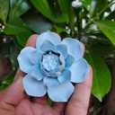 Graptopetalum pentandrum subsp. superbum,2.76" Ceramic Flower Wall Dcor Artificial 3D Flower Wall Art ,Handmade Ceramic Flowers, Decorative Floral Wall Art, Lifelike Artificial Wall Decor for Living Room Home Hallway Bedroom Kitchen Farmhouse Bathroom Dining Room