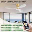 42" Smart Flush Mount Ceiling Fans with Light Remote,Low Profile,Gold White